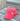 Bare Feet Only Pigment Dyed Baseball Hat