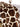 Giraffe Super Soft Cozy Bed Throw Flannel Blanket